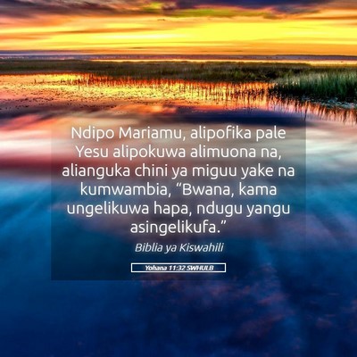 Picture 05 - Yohana 11:32 SWHULB - Ndipo Mariamu, alipofika pale Yesu alipokuwa - Bible Verse Picture
