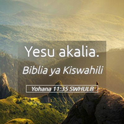 Picture 05 - Yohana 11:35 SWHULB - Yesu - Bible Verse Picture