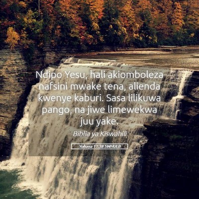 Picture 05 - Yohana 11:38 SWHULB - Ndipo Yesu, hali akiomboleza nafsini mwake tena, - Bible Verse Picture