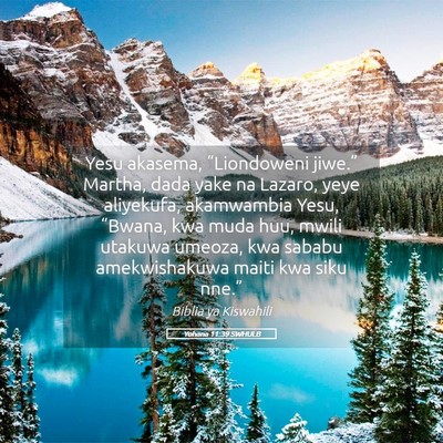 Picture 05 - Yohana 11:39 SWHULB - Yesu akasema, “Liondoweni jiwe.” Martha, dada - Bible Verse Picture