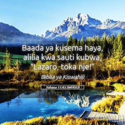 Picture 05 - Yohana 11:43 SWHULB - Baada ya kusema haya, alilia kwa sauti kubwa, - Bible Verse Picture