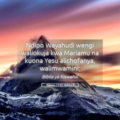 Picture 05 - Yohana 11:45 SWHULB - Ndipo Wayahudi wengi waliokuja kwa Mariamu na - Bible Verse Picture
