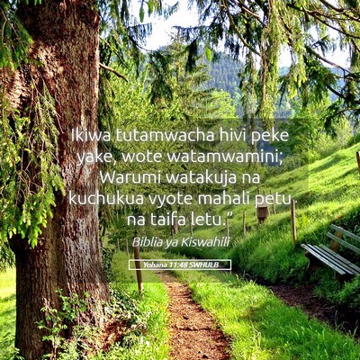 Picture 05 - Yohana 11:48 SWHULB - Ikiwa tutamwacha hivi peke yake, wote - Bible Verse Picture