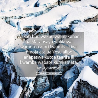 Picture 05 - Yohana 11:57 SWHULB - Wakati huu wakuu wa makuhani na Mafarisayo - Bible Verse Picture