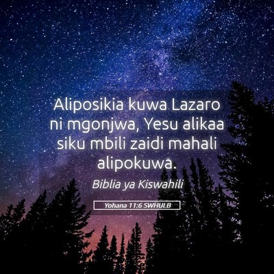 Picture 05 - Yohana 11:6 SWHULB - Aliposikia kuwa Lazaro ni mgonjwa, Yesu alikaa - Bible Verse Picture