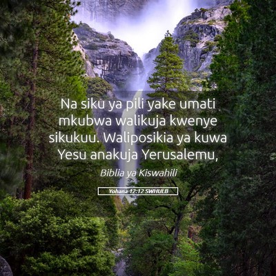 Picture 05 - Yohana 12:12 SWHULB - Na siku ya pili yake umati mkubwa walikuja kwenye - Bible Verse Picture
