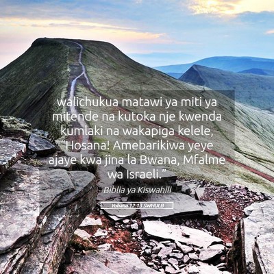 Picture 05 - Yohana 12:13 SWHULB - walichukua matawi ya miti ya mitende na kutoka - Bible Verse Picture