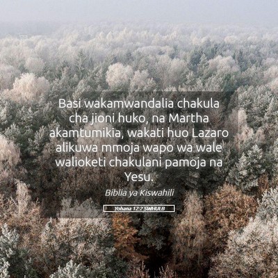 Picture 05 - Yohana 12:2 SWHULB - Basi wakamwandalia chakula cha jioni huko, na - Bible Verse Picture