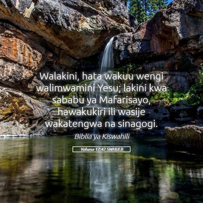 Picture 05 - Yohana 12:42 SWHULB - Walakini, hata wakuu wengi walimwamini Yesu; - Bible Verse Picture