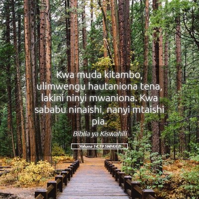 Picture 05 - Yohana 14:19 SWHULB - Kwa muda kitambo, ulimwengu hautaniona tena, - Bible Verse Picture