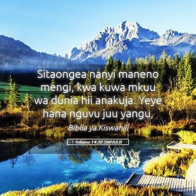 Picture 05 - Yohana 14:30 SWHULB - Sitaongea nanyi maneno mengi, kwa kuwa mkuu wa - Bible Verse Picture