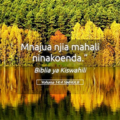 Picture 05 - Yohana 14:4 SWHULB - Mnajua njia mahali - Bible Verse Picture