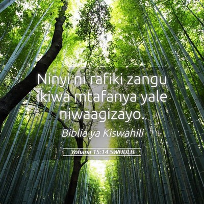 Picture 05 - Yohana 15:14 SWHULB - Ninyi ni rafiki zangu ikiwa mtafanya yale - Bible Verse Picture