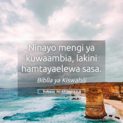 Picture 05 - Yohana 16:12 SWHULB - Ninayo mengi ya kuwaambia, lakini hamtayaelewa - Bible Verse Picture