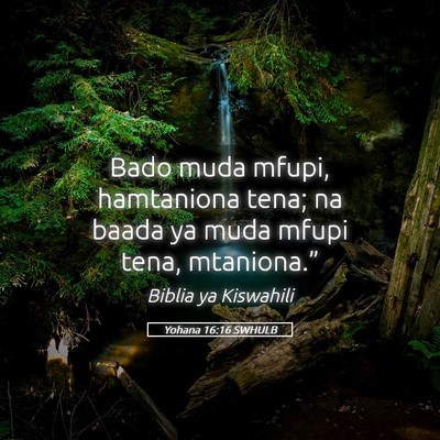 Picture 05 - Yohana 16:16 SWHULB - Bado muda mfupi, hamtaniona tena; na baada ya - Bible Verse Picture