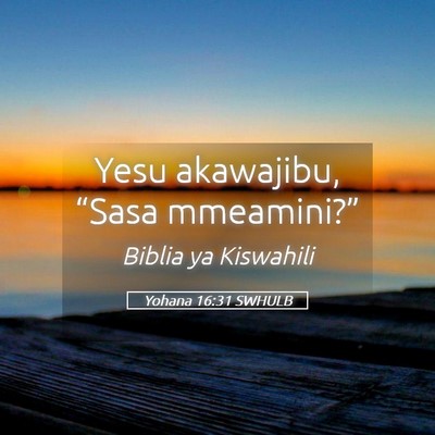 Picture 05 - Yohana 16:31 SWHULB - Yesu akawajibu, “Sasa - Bible Verse Picture