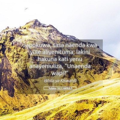 Picture 05 - Yohana 16:5 SWHULB - Japokuwa, sasa naenda kwa yule aliyenituma; - Bible Verse Picture