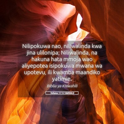 Picture 05 - Yohana 17:12 SWHULB - Nilipokuwa nao, niliwalinda kwa jina ulilonipa; - Bible Verse Picture