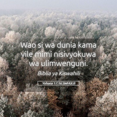 Picture 05 - Yohana 17:16 SWHULB - Wao si wa dunia kama vile mimi nisivyokuwa wa - Bible Verse Picture