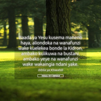 Picture 05 - Yohana 18:1 SWHULB - Baada ya Yesu kusema maneno haya, aliondoka na - Bible Verse Picture