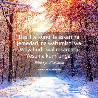 Picture 05 - Yohana 18:12 SWHULB - Basi lile kundi la askari na jemedari, na - Bible Verse Picture