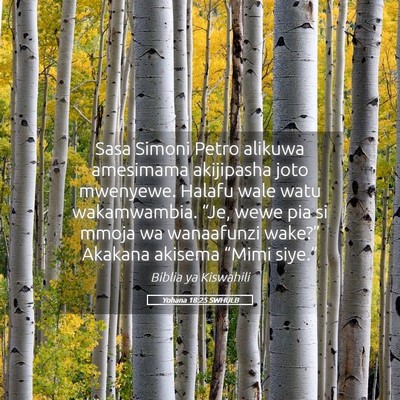 Picture 05 - Yohana 18:25 SWHULB - Sasa Simoni Petro alikuwa amesimama akijipasha - Bible Verse Picture