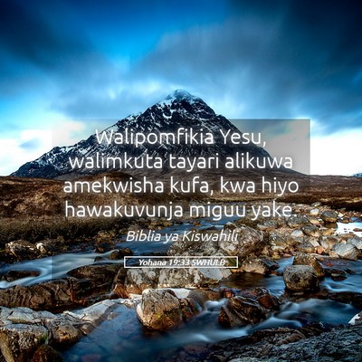 Picture 05 - Yohana 19:33 SWHULB - Walipomfikia Yesu, walimkuta tayari alikuwa - Bible Verse Picture