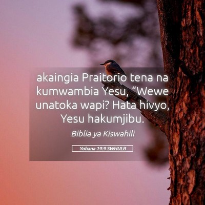 Picture 05 - Yohana 19:9 SWHULB - akaingia Praitorio tena na kumwambia Yesu, - Bible Verse Picture