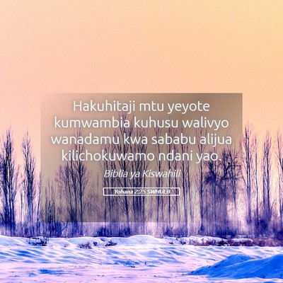 Picture 05 - Yohana 2:25 SWHULB - Hakuhitaji mtu yeyote kumwambia kuhusu walivyo - Bible Verse Picture