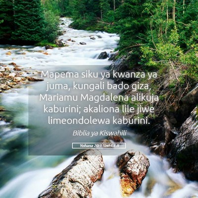 Picture 05 - Yohana 20:1 SWHULB - Mapema siku ya kwanza ya juma, kungali bado giza, - Bible Verse Picture