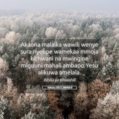 Picture 05 - Yohana 20:12 SWHULB - Akaona malaika wawili wenye sura nyeupe wamekaa - Bible Verse Picture