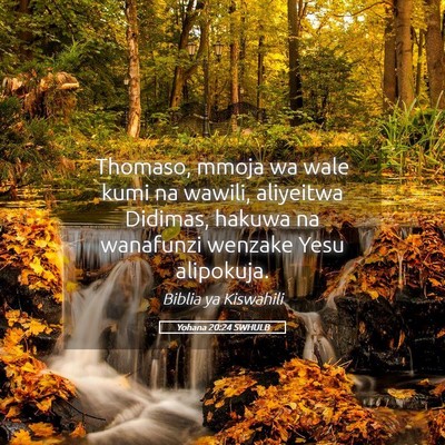 Picture 05 - Yohana 20:24 SWHULB - Thomaso, mmoja wa wale kumi na wawili, aliyeitwa - Bible Verse Picture