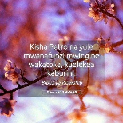 Picture 05 - Yohana 20:3 SWHULB - Kisha Petro na yule mwanafunzi mwingine wakatoka, - Bible Verse Picture