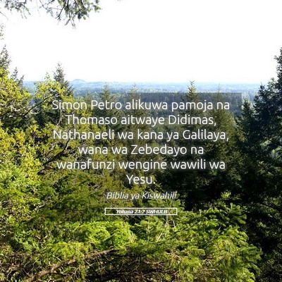 Picture 05 - Yohana 21:2 SWHULB - Simon Petro alikuwa pamoja na Thomaso aitwaye - Bible Verse Picture