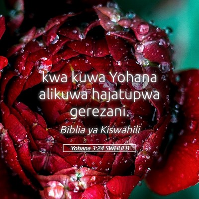 Picture 05 - Yohana 3:24 SWHULB - kwa kuwa Yohana alikuwa hajatupwa - Bible Verse Picture