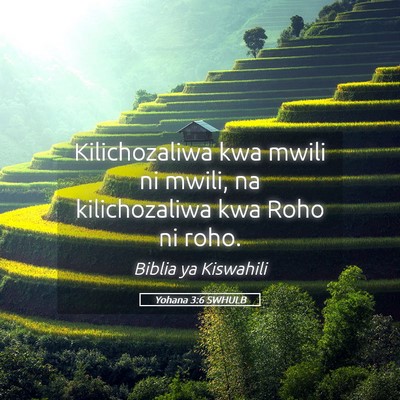 Picture 05 - Yohana 3:6 SWHULB - Kilichozaliwa kwa mwili ni mwili, na - Bible Verse Picture