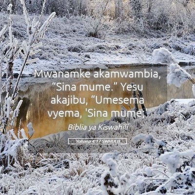 Picture 05 - Yohana 4:17 SWHULB - Mwanamke akamwambia, “Sina mume.” Yesu - Bible Verse Picture