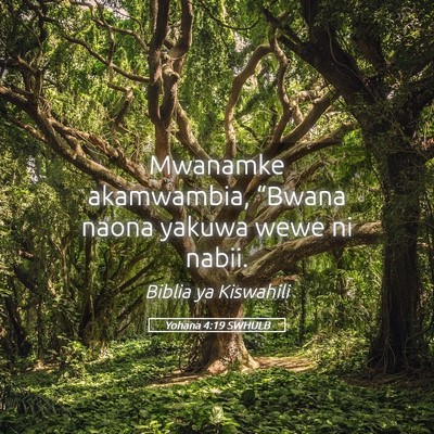 Picture 05 - Yohana 4:19 SWHULB - Mwanamke akamwambia, “Bwana naona yakuwa wewe - Bible Verse Picture