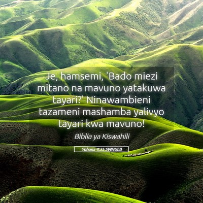 Picture 05 - Yohana 4:35 SWHULB - Je, hamsemi, 'Bado miezi mitano na mavuno - Bible Verse Picture