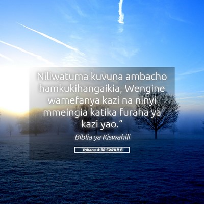 Picture 05 - Yohana 4:38 SWHULB - Niliwatuma kuvuna ambacho hamkukihangaikia, - Bible Verse Picture