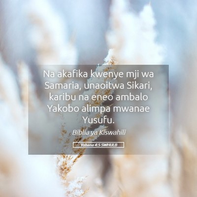 Picture 05 - Yohana 4:5 SWHULB - Na akafika kwenye mji wa Samaria, unaoitwa - Bible Verse Picture