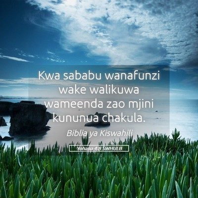 Picture 05 - Yohana 4:8 SWHULB - Kwa sababu wanafunzi wake walikuwa wameenda zao - Bible Verse Picture