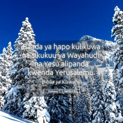 Picture 05 - Yohana 5:1 SWHULB - Baada ya hapo kulikuwa na sikukuu ya Wayahudi, na - Bible Verse Picture