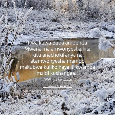 Picture 05 - Yohana 5:20 SWHULB - Kwa kuwa Baba ampenda Mwana, na amwonyesha kila - Bible Verse Picture