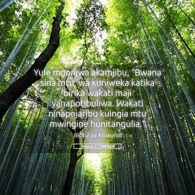 Picture 05 - Yohana 5:7 SWHULB - Yule mgonjwa akamjibu, “Bwana sina mtu, wa - Bible Verse Picture