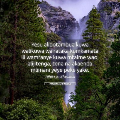 Picture 05 - Yohana 6:15 SWHULB - Yesu alipotambua kuwa walikuwa wanataka kumkamata - Bible Verse Picture