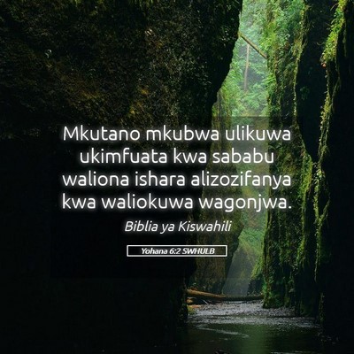 Picture 05 - Yohana 6:2 SWHULB - Mkutano mkubwa ulikuwa ukimfuata kwa sababu - Bible Verse Picture