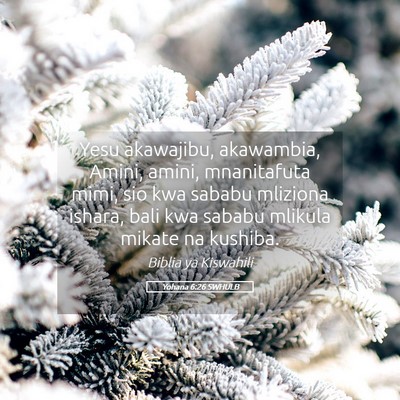 Picture 05 - Yohana 6:26 SWHULB - Yesu akawajibu, akawambia, Amini, amini, - Bible Verse Picture