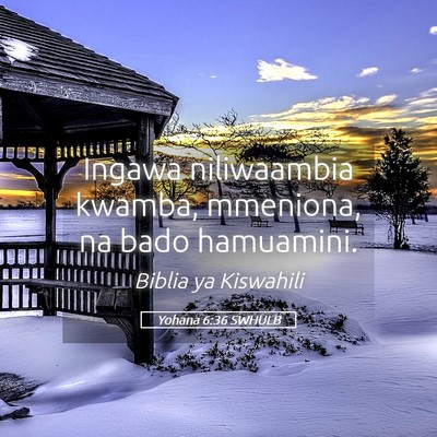 Picture 05 - Yohana 6:36 SWHULB - Ingawa niliwaambia kwamba, mmeniona, na bado - Bible Verse Picture