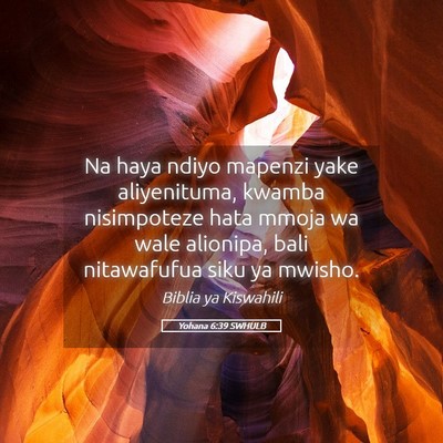 Picture 05 - Yohana 6:39 SWHULB - Na haya ndiyo mapenzi yake aliyenituma, kwamba - Bible Verse Picture